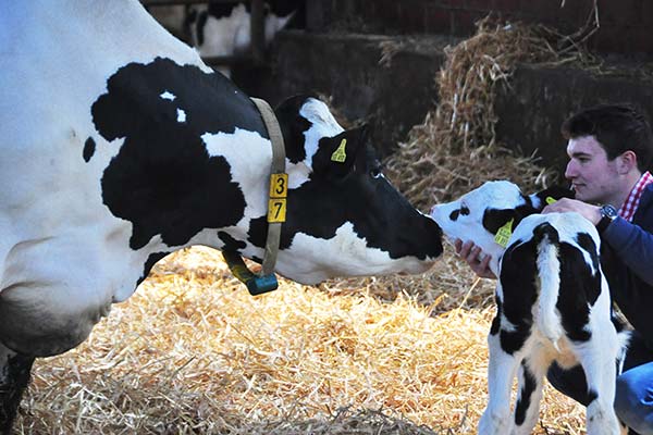 Unsere Tiere stehen bei uns im Mittelpunkt des Geschehens!