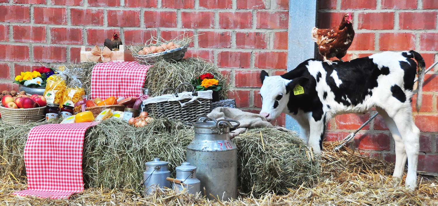 Auf dem Hof Bergs in Geilenkirchen-Prummern bieten wir Ihnen einen bunten Strauß an regionalen Produken.